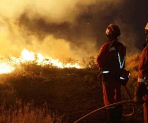 İspanya’nın Tenerife Adası’nda orman yangını: “Kasıtlı olarak çıkarıldı”