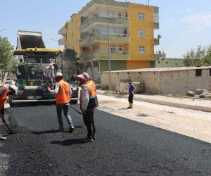 Şanlıurfa Büyükşehir’den Viranşehir’de asfalt atağı