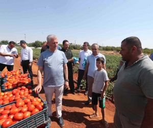 Tahmazoğlu, çiftçilerle tarlada domates ve biber topladı