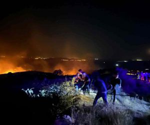 Marmara Adası’nda yangın