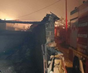 Orman yangını, Ulupınar Köyü’nde evlere sıçradı