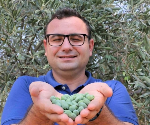 Çöl sıcakları zeytin üretimini vurdu, yüzde 50 kayıp bekleniyor