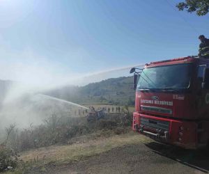 Zonguldak’taki örtü altı yangını ormanlık alana sıçramadan söndürüldü
