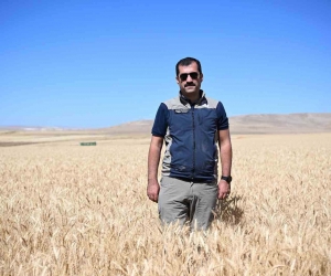 Kayseri’de yazlık buğday üretimi geleneği sürüyor