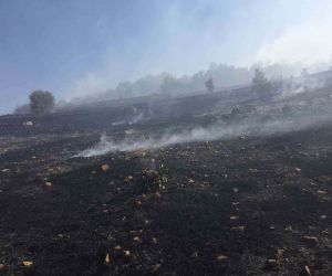 Ergani’deki örtü yangını 10 saat sonra kontrol altına alındı