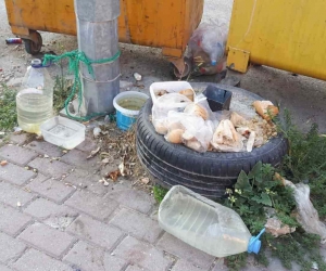 Vatandaşlar kötü koku için hayvan severlere isyan etti