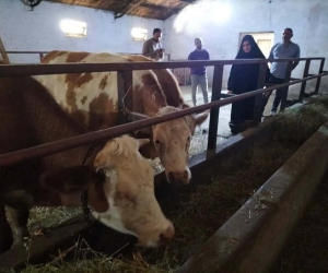Kırsal ’Uzman Eller’ ile kalkınıyor