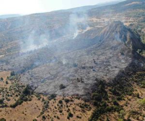 Ilgaz Dağı’ndaki orman yangını kontrol altına alındı: 15 hektar alan küle döndü
