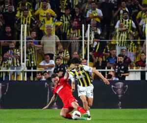 Ferdi Kadıoğlu’ndan kötü haber