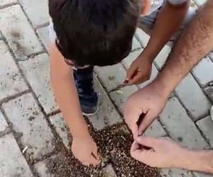 Elazığ’da baba ve oğlu karıncaları elleri ile besledi