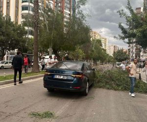 Adana’da kuvvetli yağış ve rüzgar hayatı olumsuz etkiledi