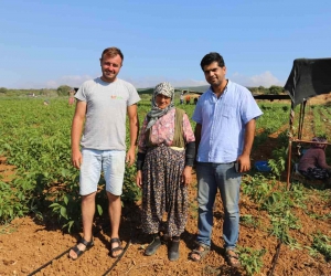 Türkiye’nin ceviz fidanı ihtiyacı bu bölgeden karşılanıyor