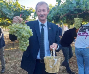 Tekirdağ’da bağ bozumu etkinliği: Binlerce çeşit üzüm hasat edildi