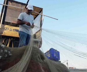 Yalova’da balıkçıklar hamsiden umutlu: “Vatandaşımız bu yıl mutlaka balık yer. Bu sene hamsi bol”