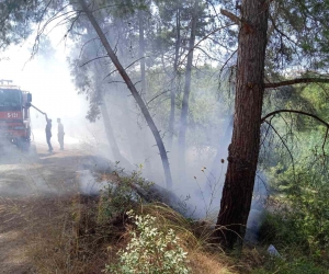 Manavgat’ta 30 dakika arayla iki ayrı noktada çıkan orman yangınları söndürüldü