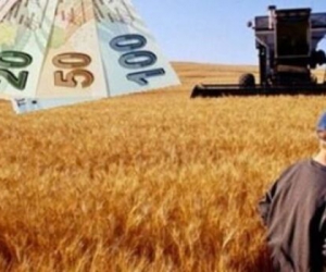 Geri dönene devletten 30 bin lira