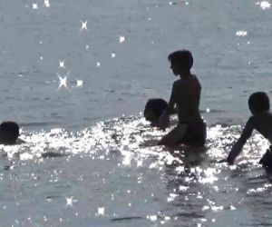 Meriç Nehri’nde yüzen çocukların tehlikeli oyunu