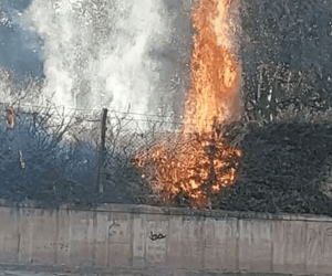 Kültürpark'ta yangın çıktı
