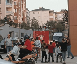 Alanyurtta korkutan yangın; 1 yaralı