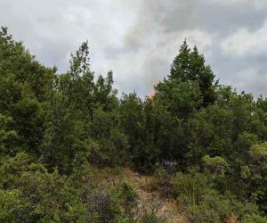 Isparta’da bahçe temizliği orman yangınına neden oldu