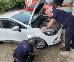 Yaramaz yavru kedi itfaiye ekiplerini uğraştırdı