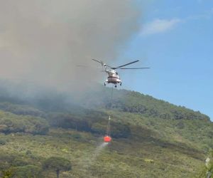 Başıbüyük Ormanı’nda çıkan yangına itfaiye ve helikopter müdahale ediyor