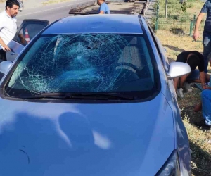 Milletvekili Yılmaz Hun kaza yaptı