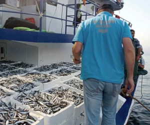 Balık avı sezonu ile birlikte gırgır teknelerinde denetimler de başladı