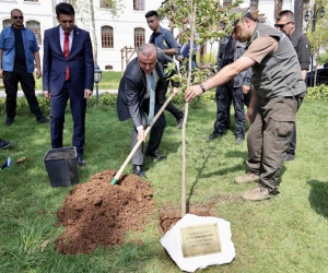 Gençlik ve Spor Bakanı  Osman Aşkın Bak, kendi adına hazırlanan çınar ağacı fidesi toprakla buluşturdu