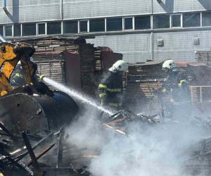 Düzce’de otluk alandaki yangın fabrika bahçesine sıçradı