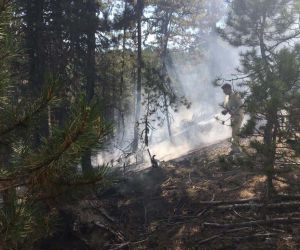 Orman yangınına erken müdahale felaketi önledi