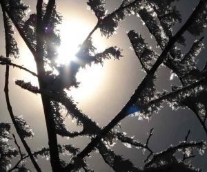 Ardahan’da soğuk hava: Damal ilçesi eksi 2,7 dereceyi gördü