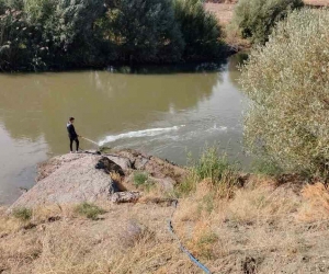 Kızılırmak’ta üvez sineği ile etkin mücadele devam ediyor