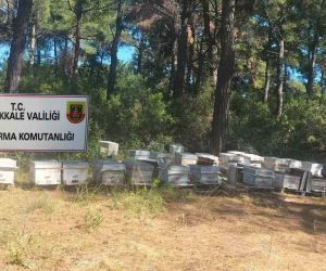 Çanakkale’de arı kovanı hırsızlığı