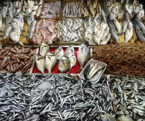 Çanakkale’de av yasağının sona ermesiyle balık tezgahları şenlendi