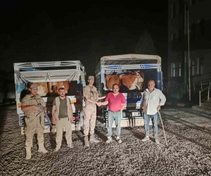 Siirt’te çaldığı büyükbaş hayvanı satarken yakalanan hırsız tutuklandı