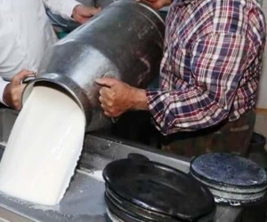 Ticari süt işletmelerince 835 bin 773 ton inek sütü toplandı