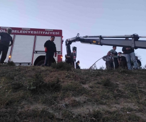 Derede mahsur kalan inek, vinç yardımıyla kurtarıldı