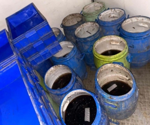Jandarma Ayvacık’ta yol kontrollerinde minibüs içinde 550 kilogram canlı deniz patlıcanı ele geçirdi