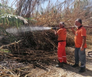 Antalya’da sazlık yangınına havadan ve karadan hızlı müdahale
