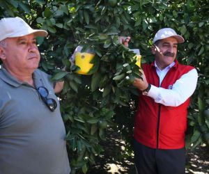 Ege Yaş Meyve Sebze İhracatçıları Birliği Başkanı Uçak: “Kalıntısız ve kaliteli üretim temel şartımız”