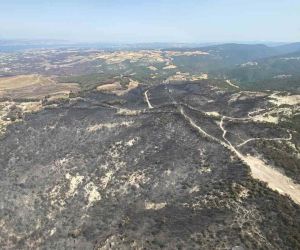 Çanakkale’de bu yıl 114 orman yangınında 4 bin 260 hektar ormanlık alan zarar gördü