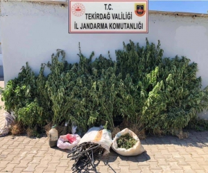 Tekirdağ’da 1 kişi uyuşturucudan tutuklandı