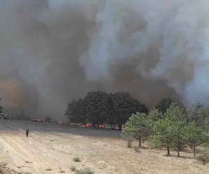 Rüzgar, ormandaki söndürme çalışmalarını zorlaştırıyor