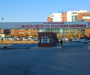 Mardin’de kardeş kavgasında ağabey öldü