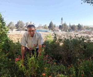 Kahramanmaraş’ta muhtar enkaz halindeki mahalleyi yeşillendirdi