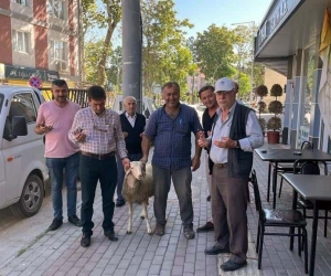 Servisçiler dualar edip kurban keserek sezona başladı