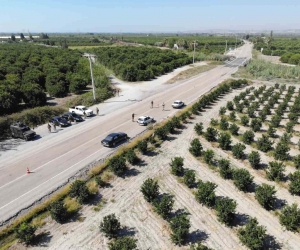 Jandarma, narenciye hırsızlığına karşı 24 saat görev başında