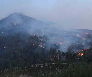 İzmir’deki orman yangınına müdahale sürüyor