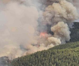 Alanya’daki orman yangını geniş bir alanda devam ediyor